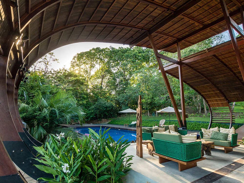 Amazon Brazil Jungle
