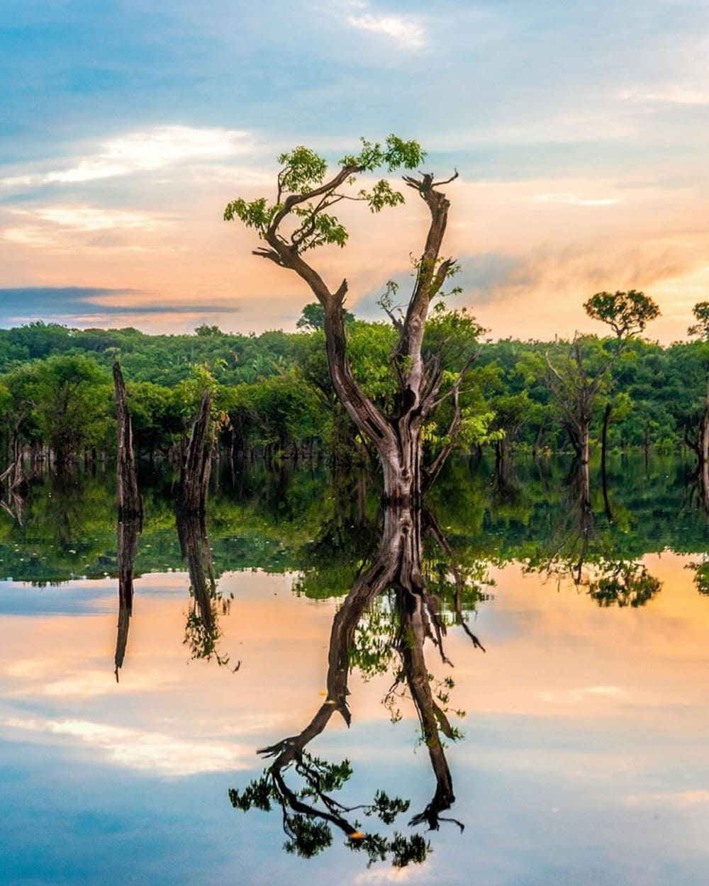 Cruzeiro de luxo na Amazônia 5 dias