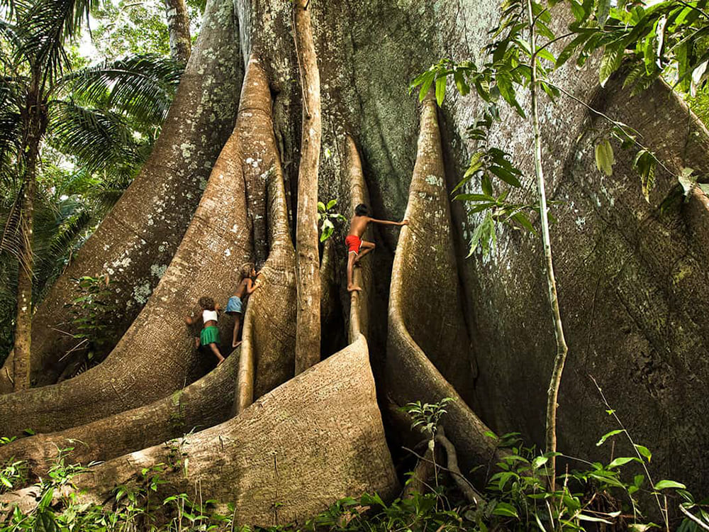 Cruzeiro no Rio Amazonas, Brasil