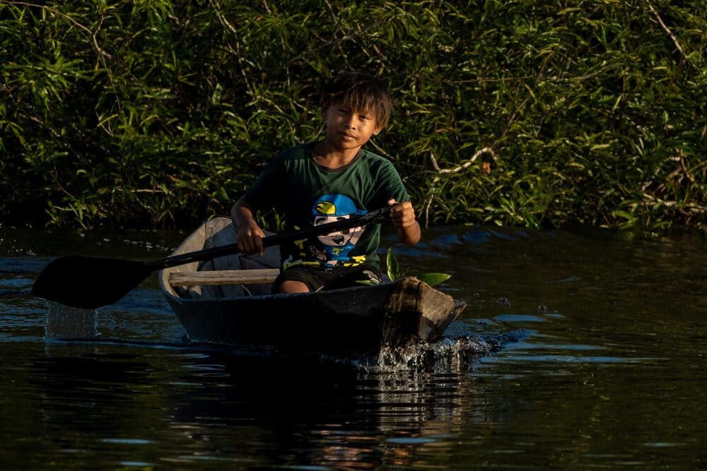Amazon rainforest Brazil