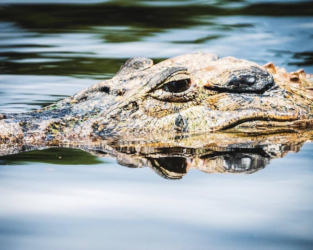 Cruzeiro no Rio Amazonas, Brasil