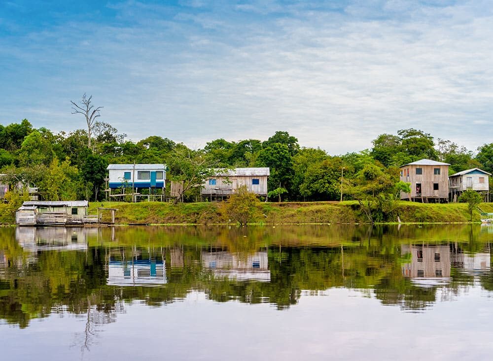 Rive du fleuve Forêt tropicale amazonienne