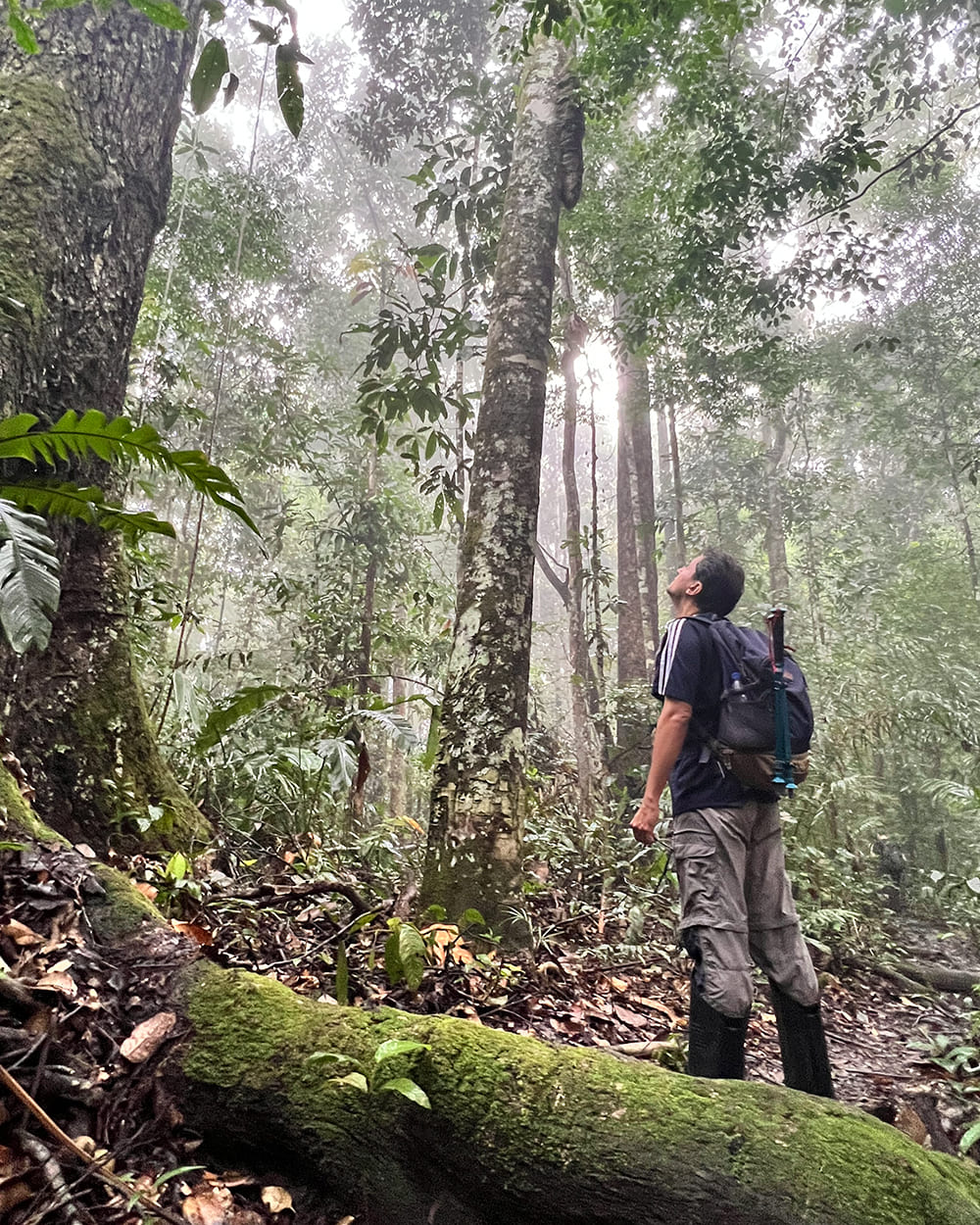 Traveller at pico da neblina expedition