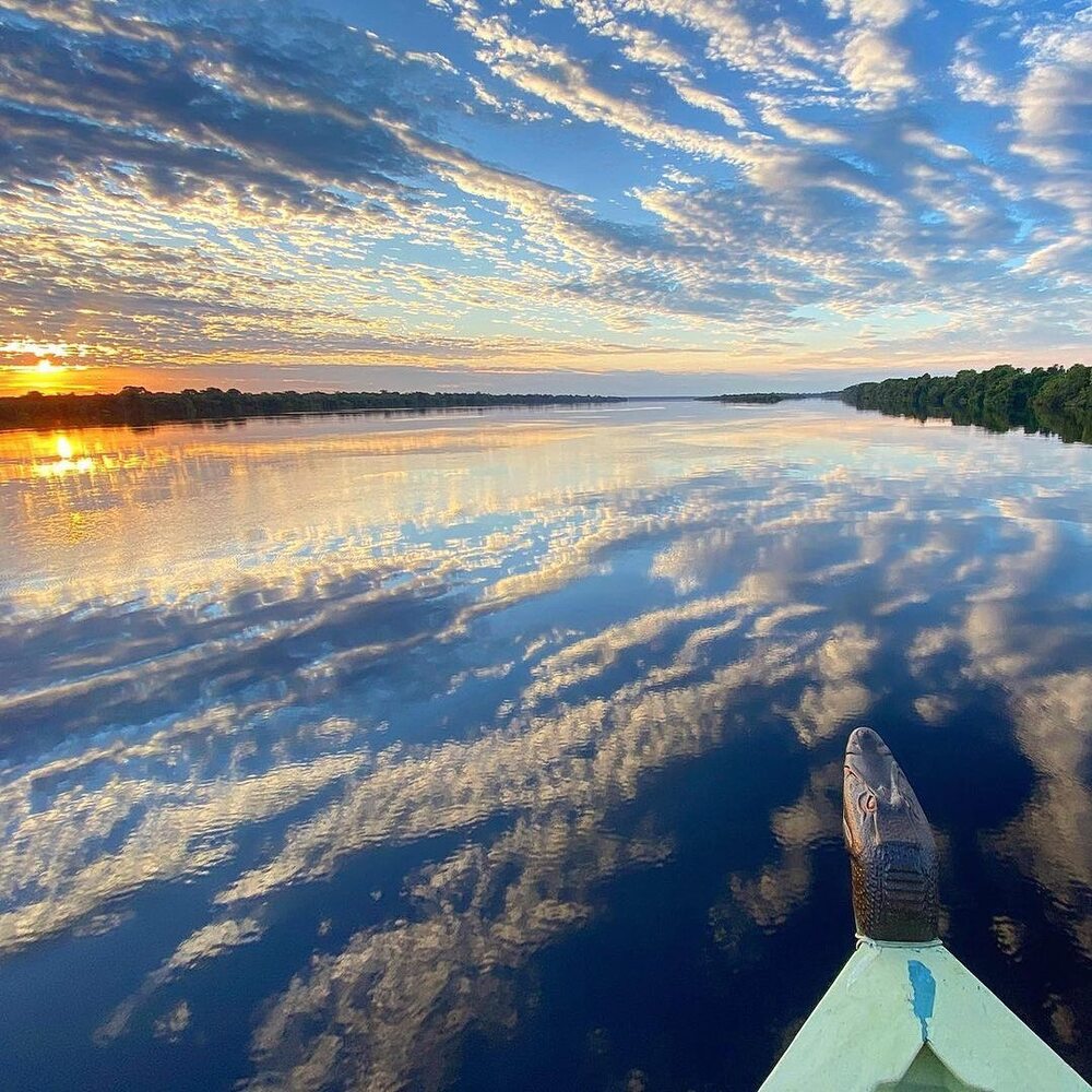 Sunrise - Amazon Brazil