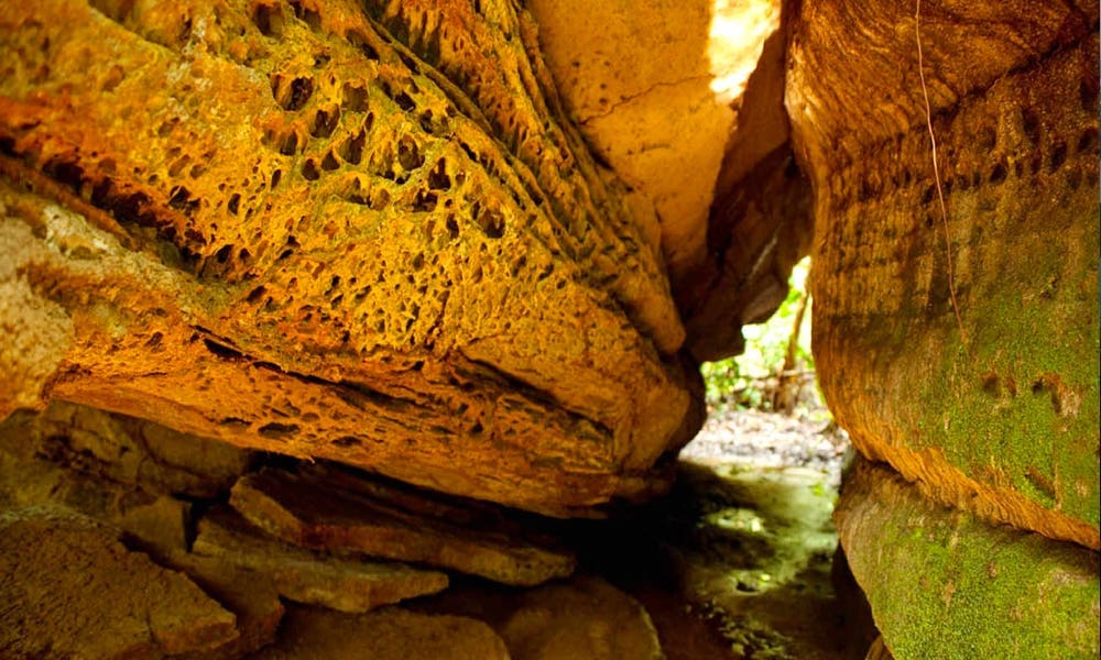 Madadá-Cave - Amazon Brazil