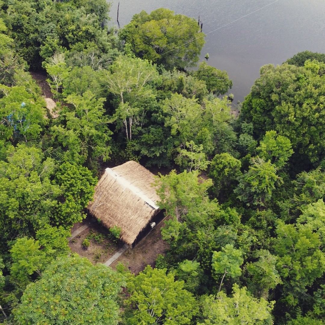 Amazon lodge