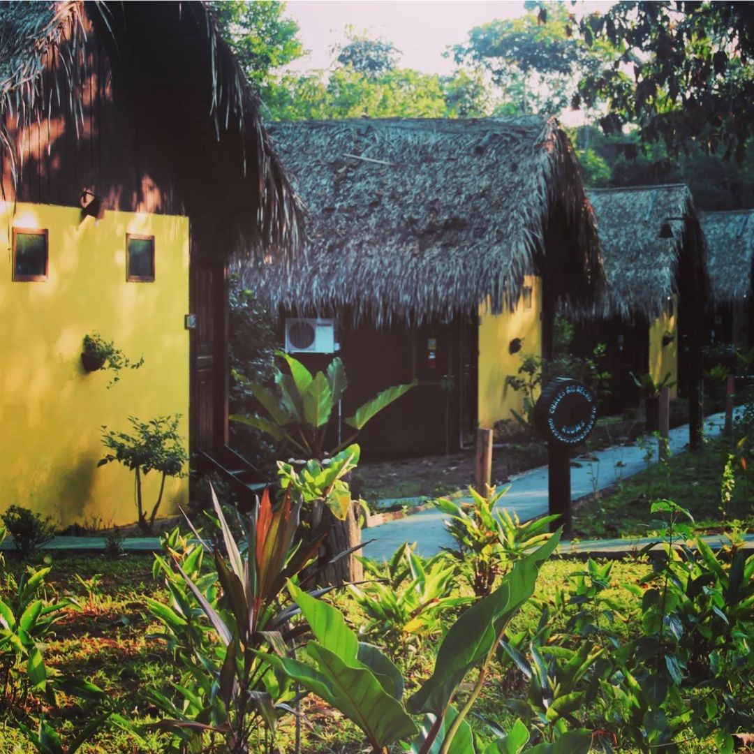 Amazon jungle lodge