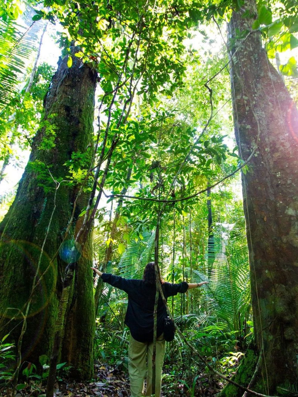 Amazon jungle tour