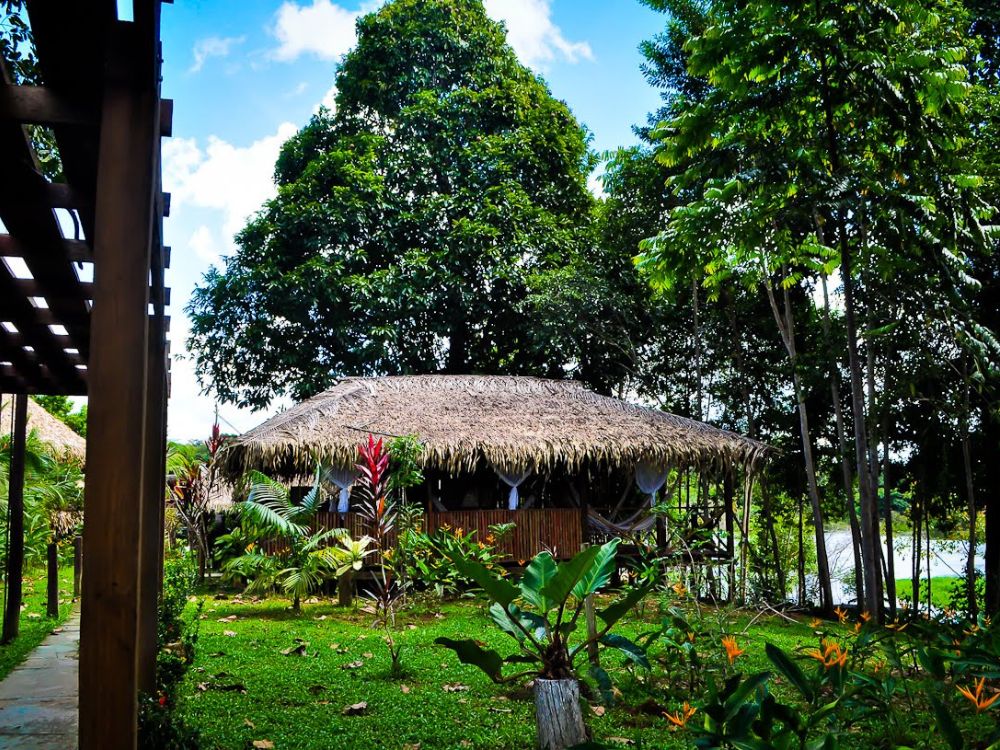 Amazon Lodge