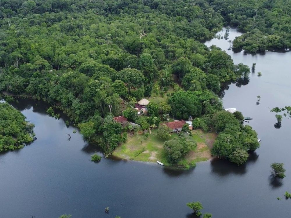 Amazon lodge