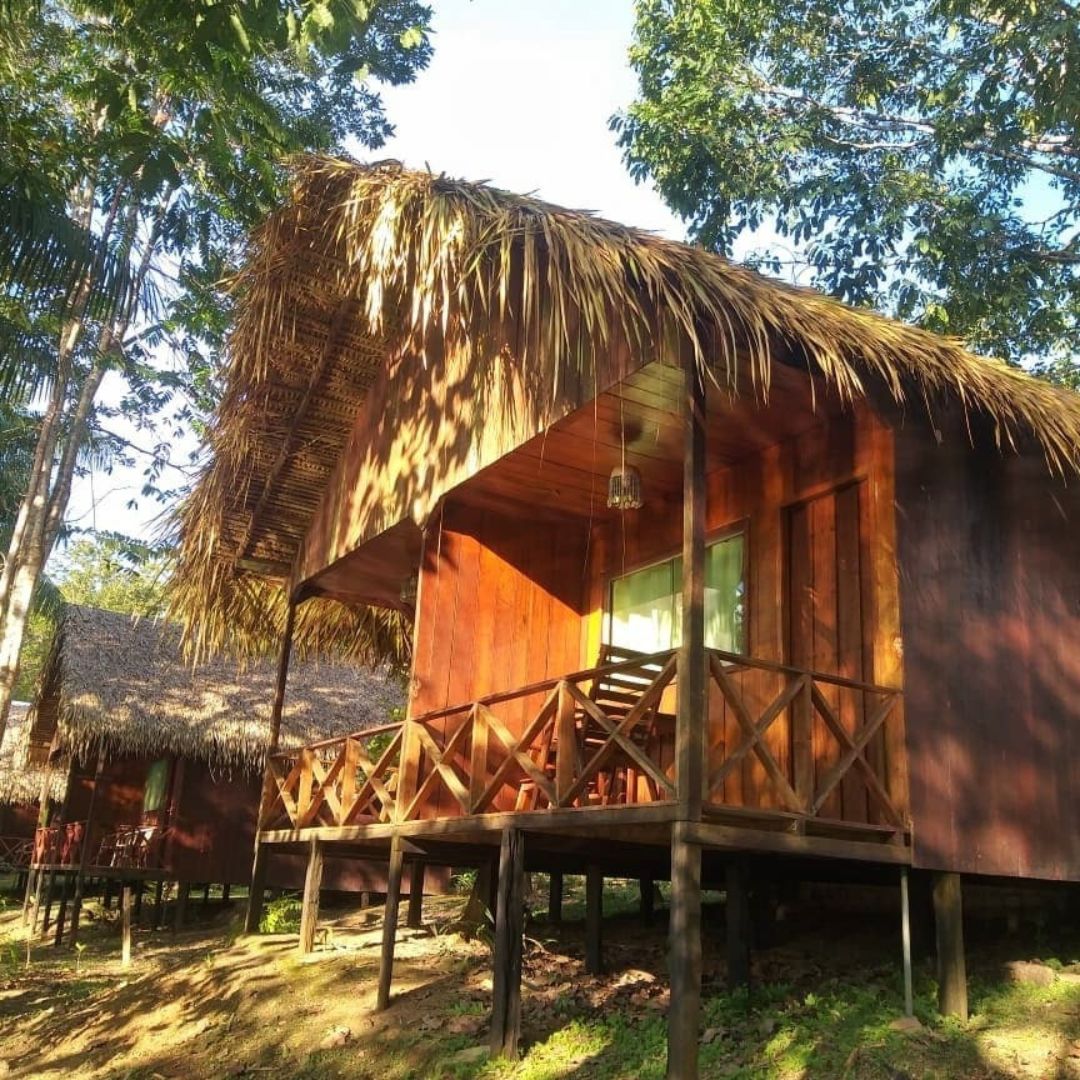 Amazon jungle lodge