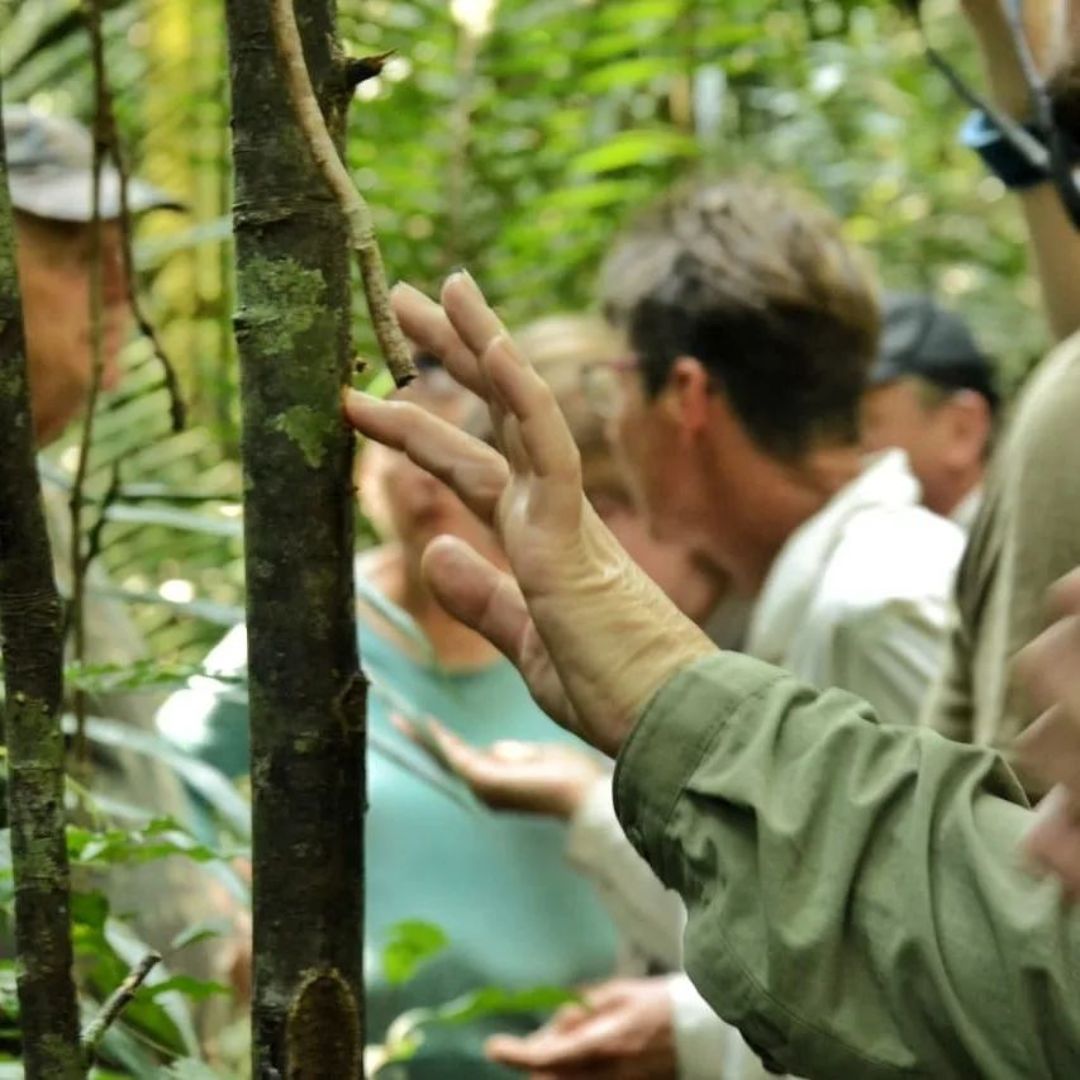 Amazon lodge