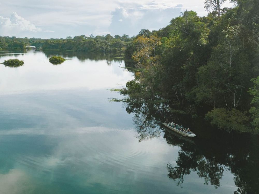 Brazilian Amazon jungle tour