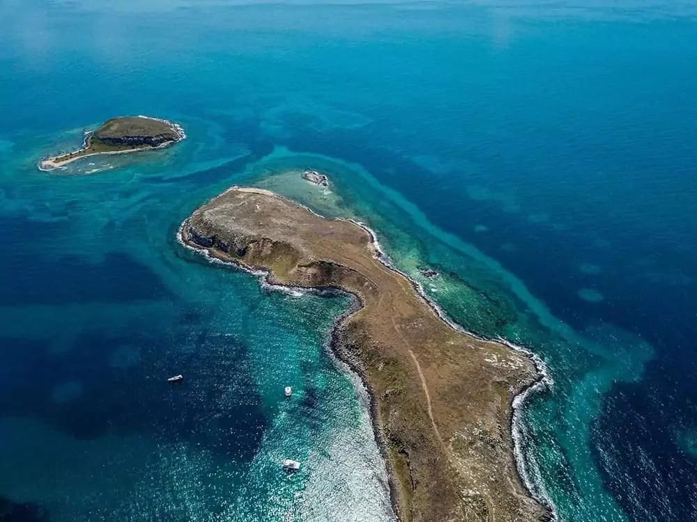Abrolhos Tours
