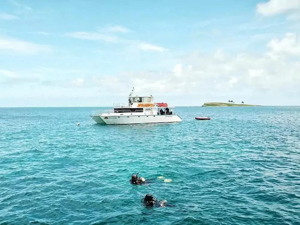 Abrolhos Tours