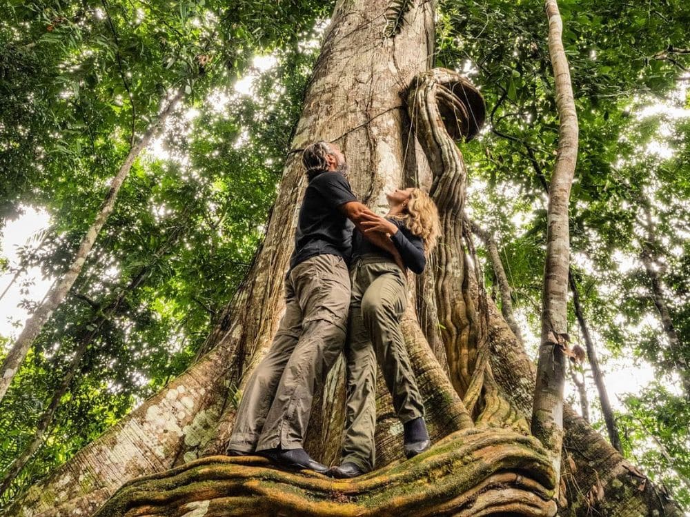 Circuits et excursions dans l’Amazonie au Brésil
