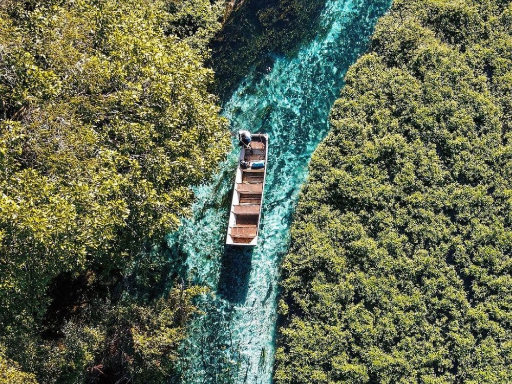 Bonito Tours