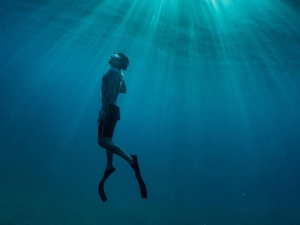 Fernando de Noronha Diving Packages