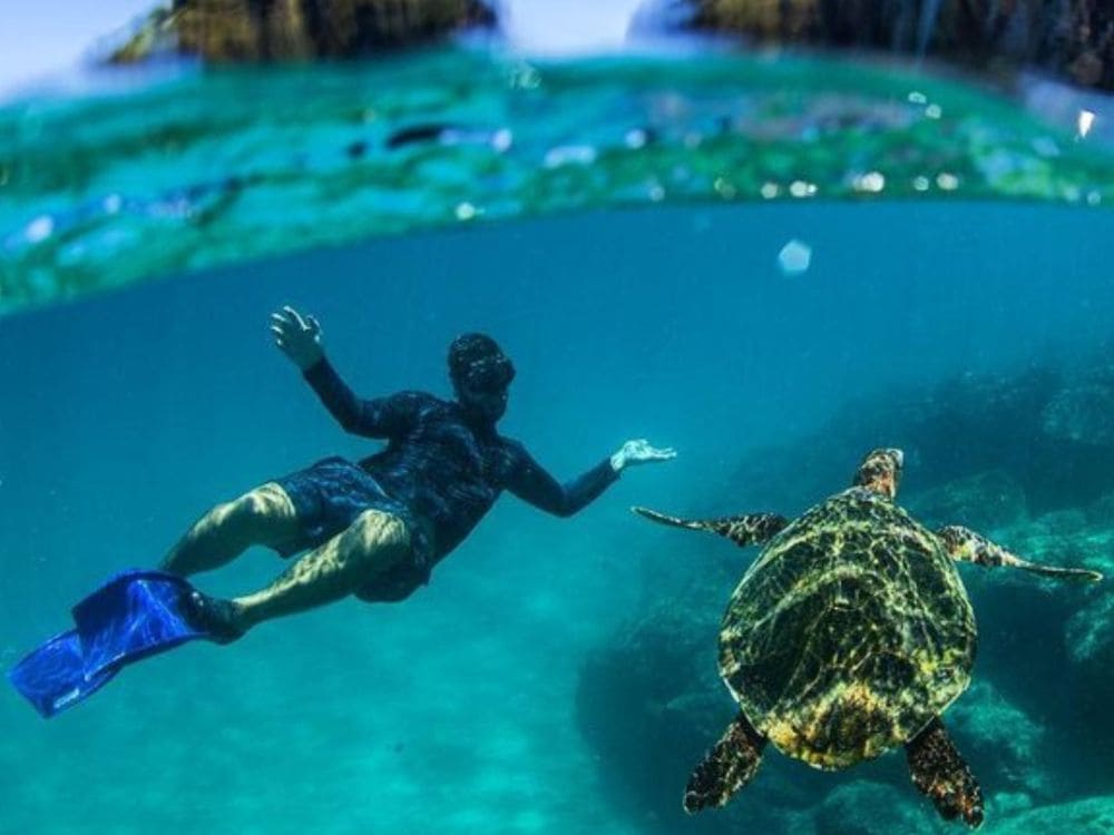 Fernando de Noronha Diving Packages
