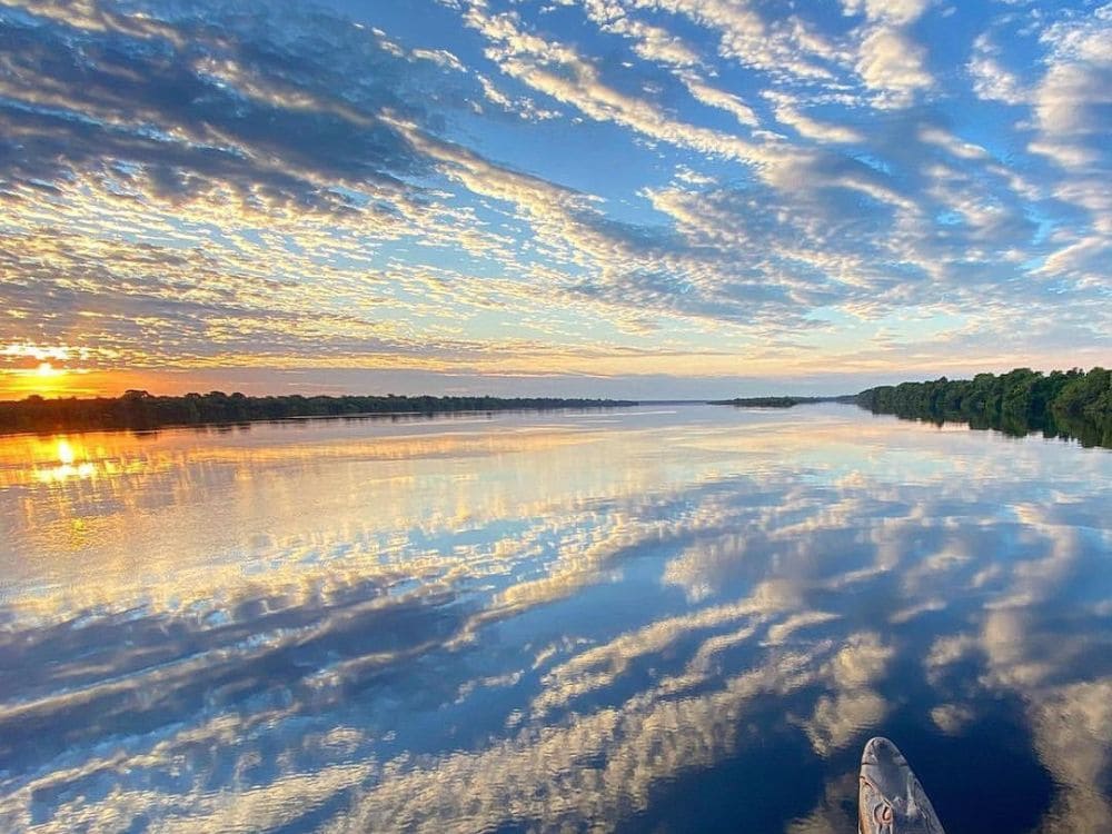 Circuits et excursions dans l’Amazonie au Brésil