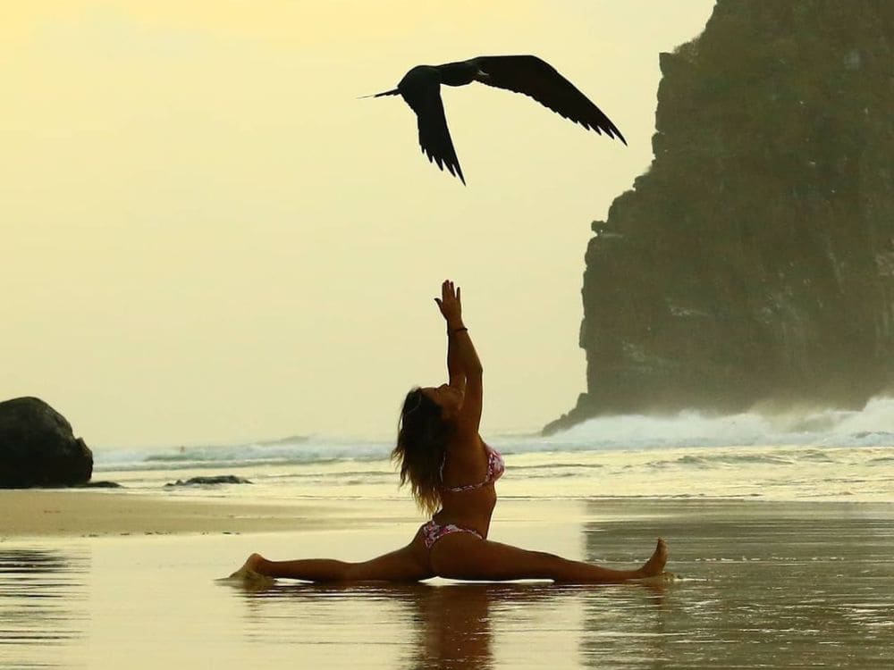Fernando de Noronha Diving Packages