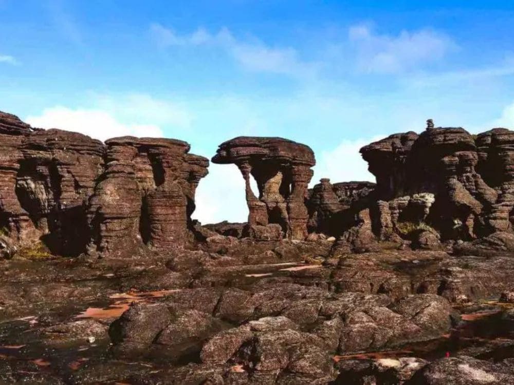 Mount Roraima Tours