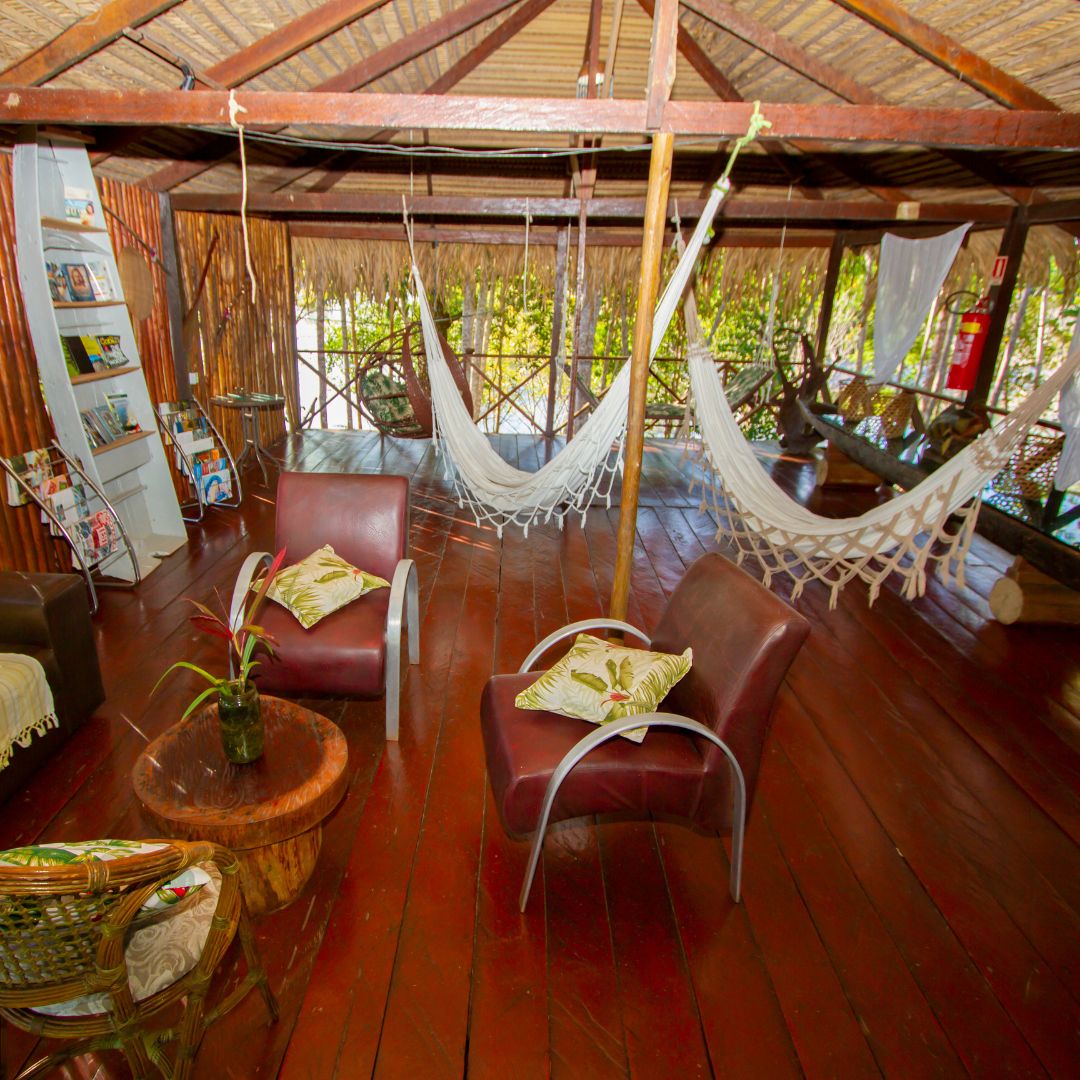 Amazon rainforest