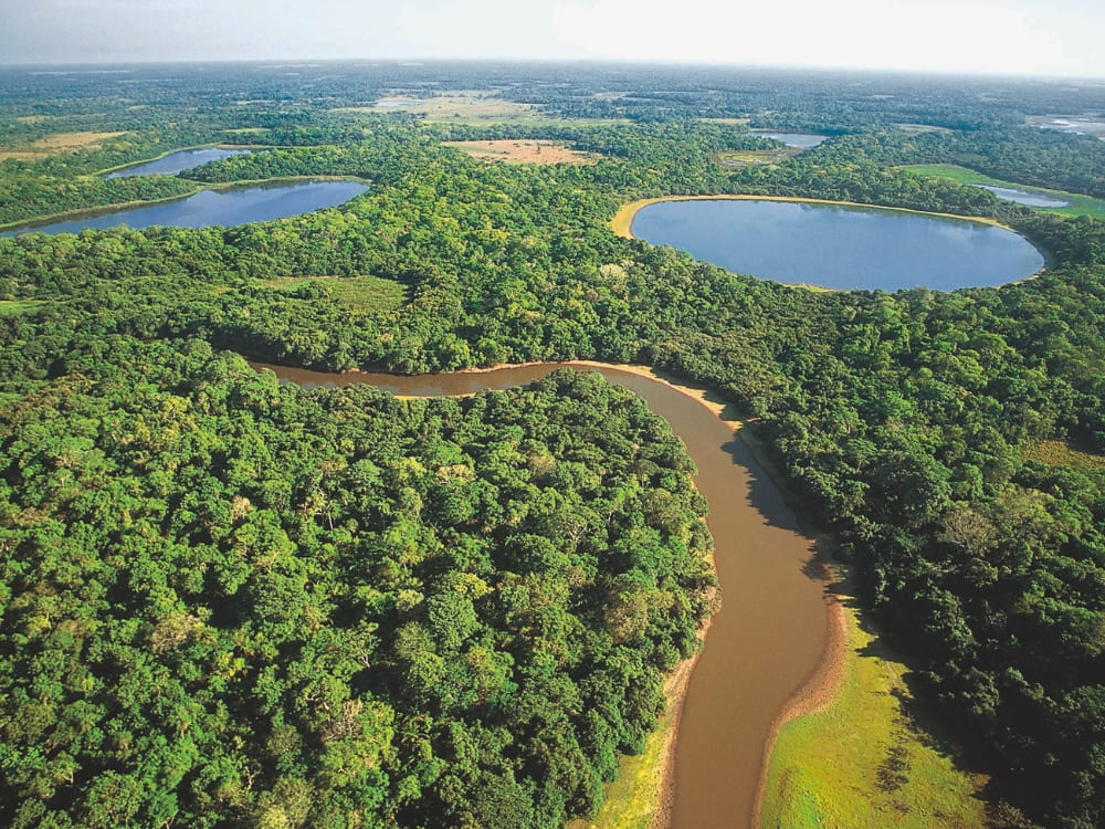 Pantanal Tour from Cuiabá