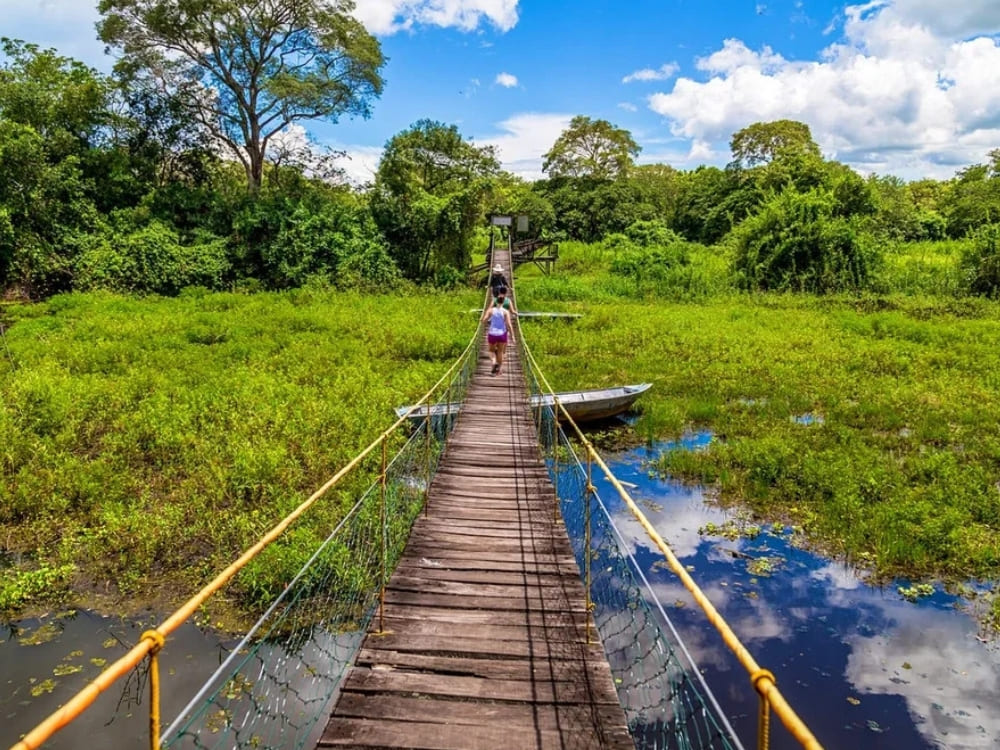 Pantanal Tour from Cuiabá - Flooded Areas