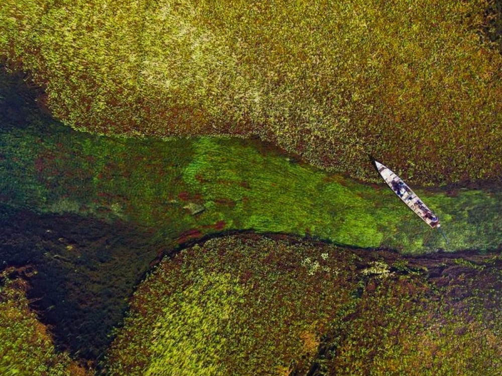 Pantanal Tour from Cuiabá