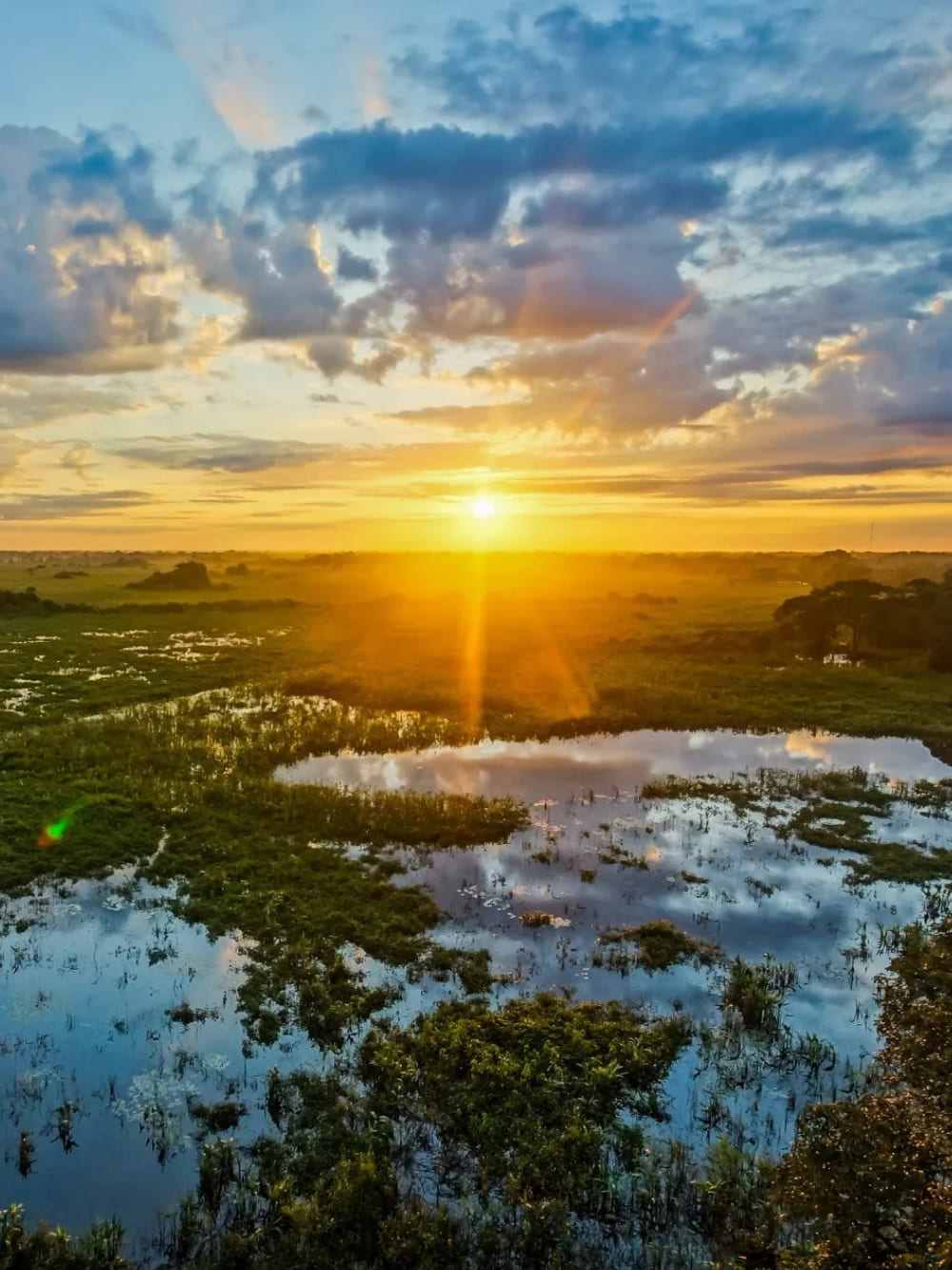 Pantanal Tour from Cuiabá - Flooded Areas