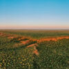 Brazil’s Wild Cerrado Tour at Pousada Trijunção (13)