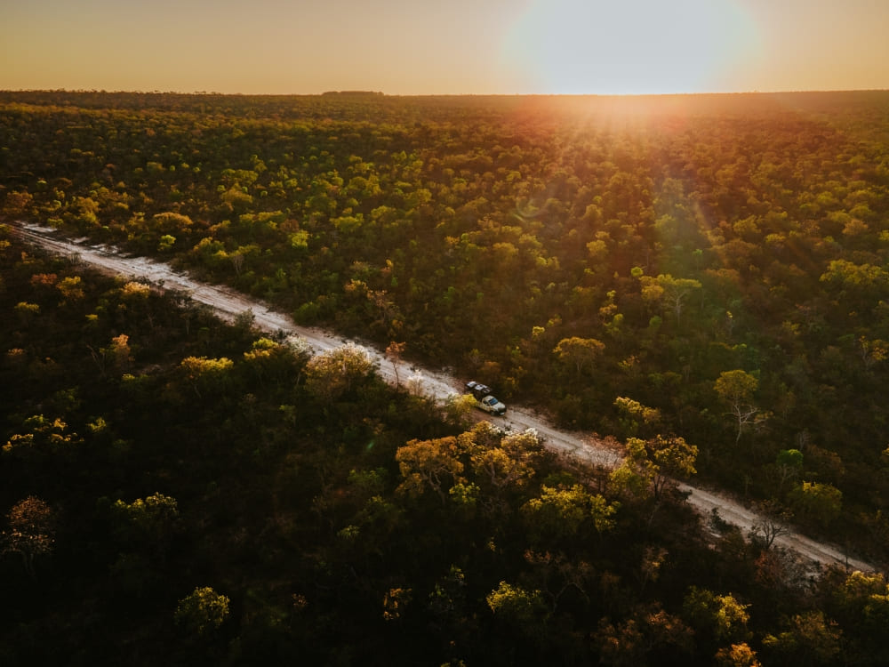 How to visit the Cerrado in Brazil? 