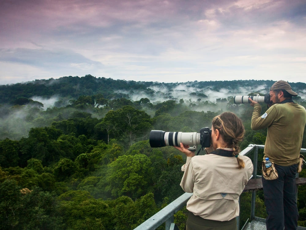 Tourists on an observation tower using large cameras and binoculars for wildlife observation in the Brazilian Amazon.