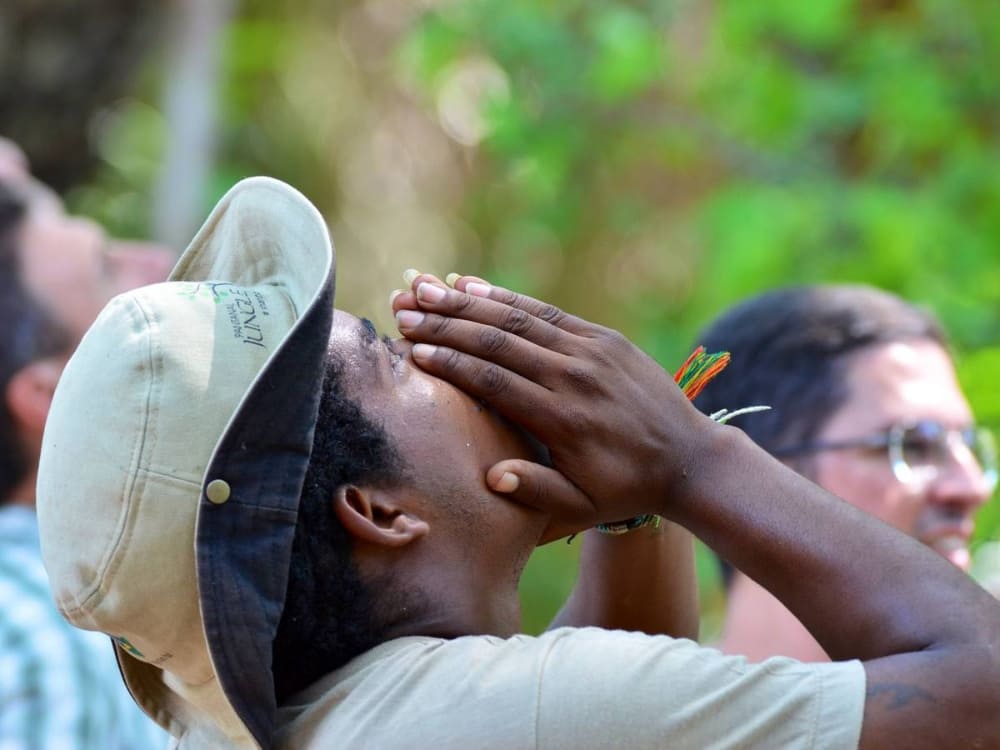 Observing nature in the Pantanal