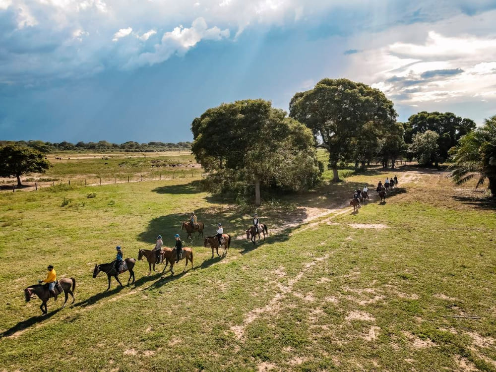 Budget Pantanal Tour