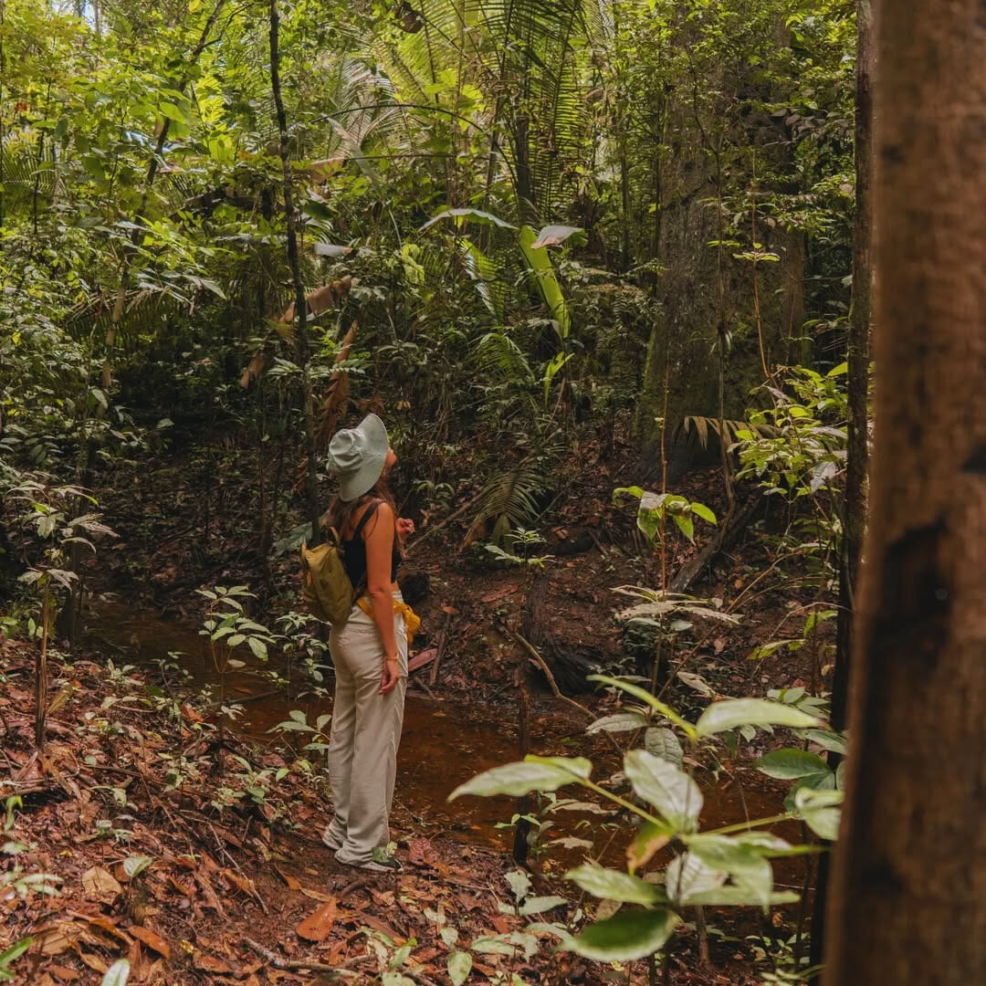 Hiking in Amazon boutique jungle lodge