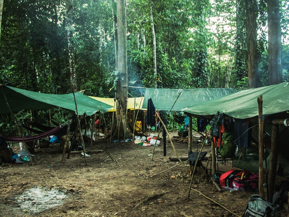 Nature camping at pico da neblina expedition