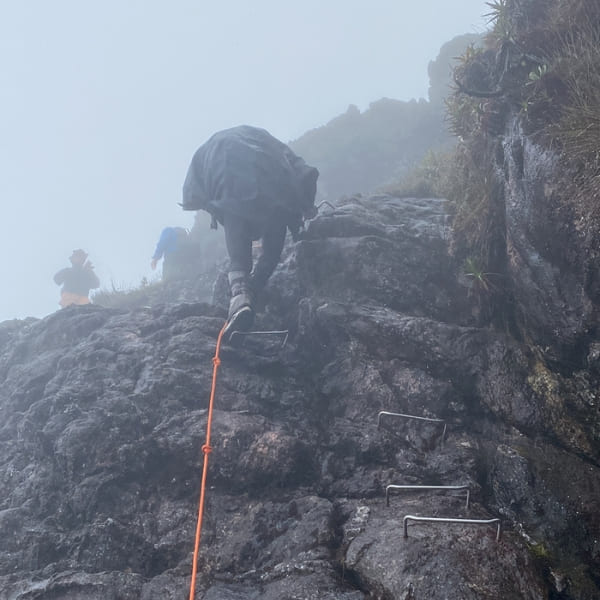 Pico da Neblina expedition