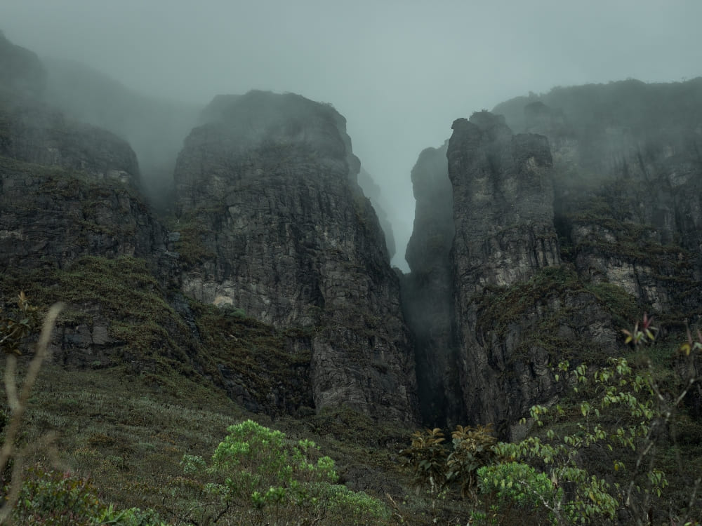 View of pico da neblina expedition
