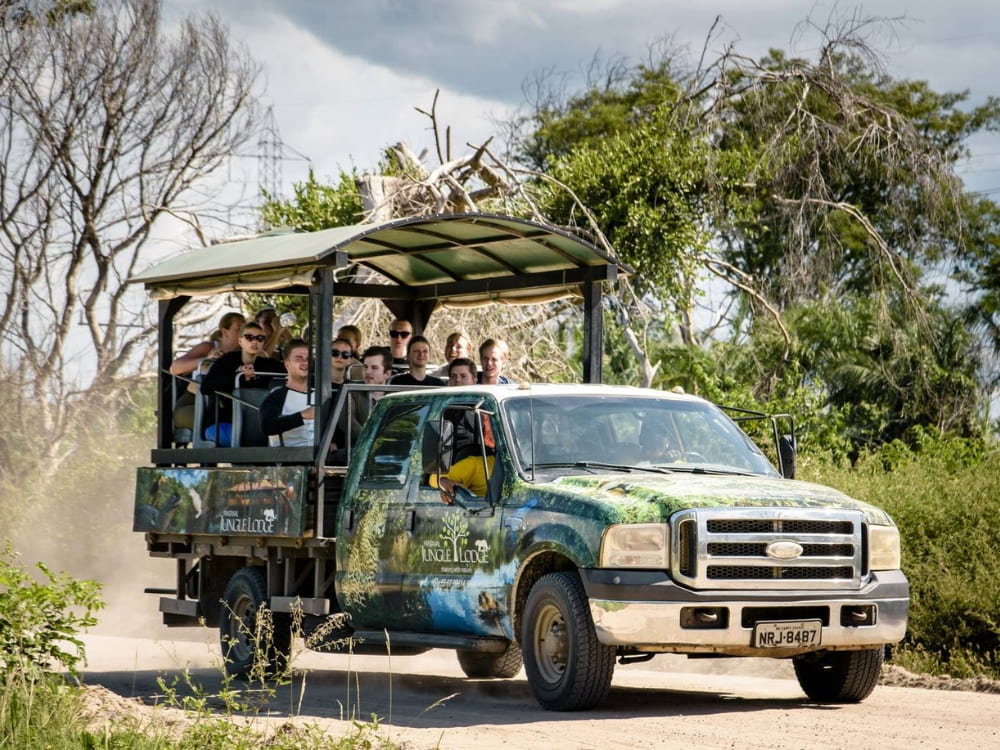 Car safari in Pantanal