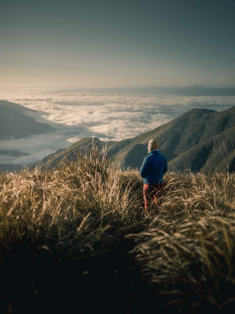 view from the summit during the hike