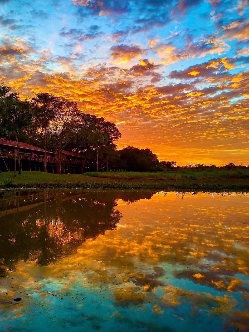 Budget Pantanal Tour