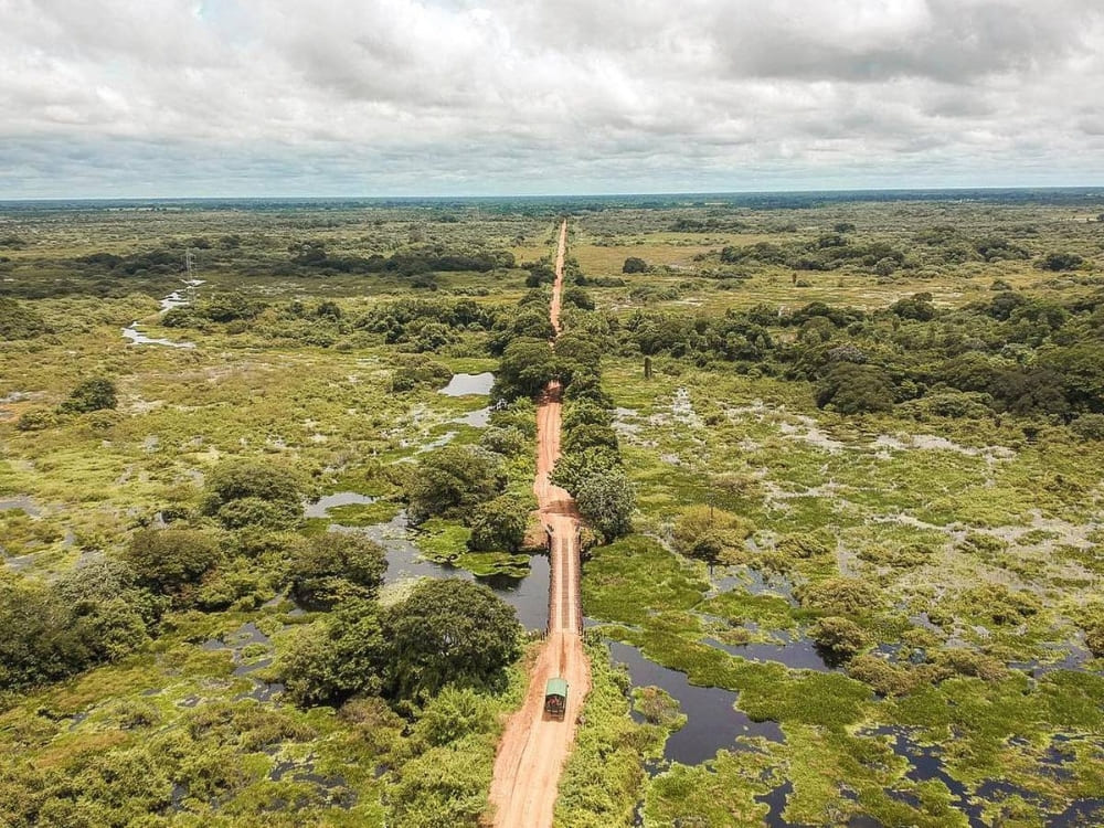 Budget Pantanal Tour