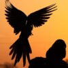 Birds Pantanal Brazil