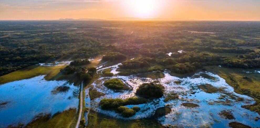 Wild South Pantanal
